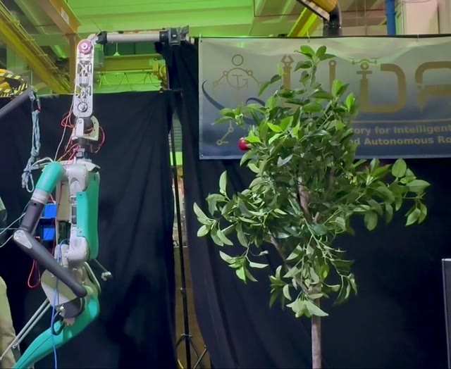 The humanoid-mounted SRL reaches toward a plant.